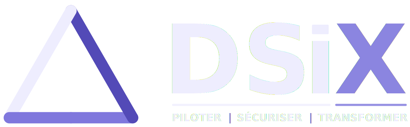 DSiX® SAS — Piloter · Sécuriser · Transformer